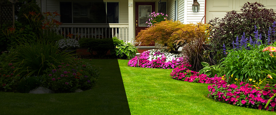 Santiago Landscapers
