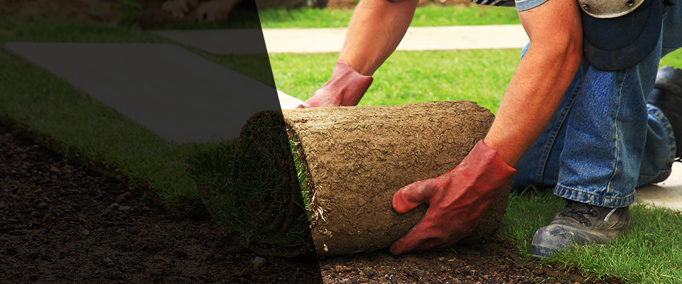 Santiago Landscapers